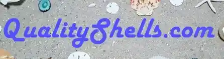 qualityshells.com